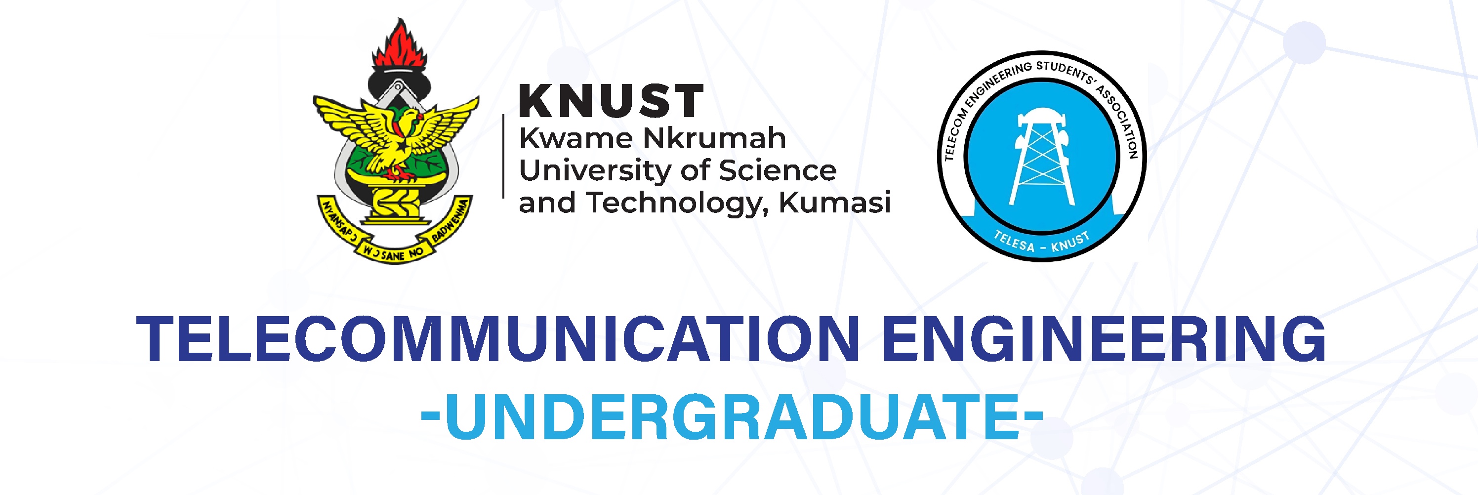 undergraduate courses banner